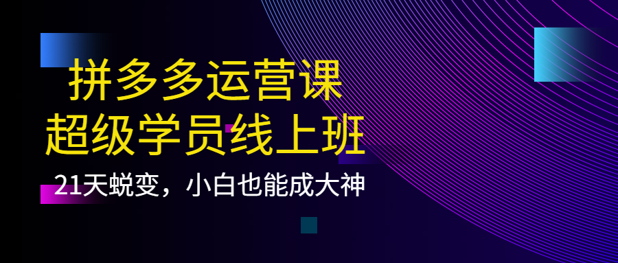 拼多多运营课：超级学员线上班，21天蜕变，小白也能成大神-安哥网络创业副业