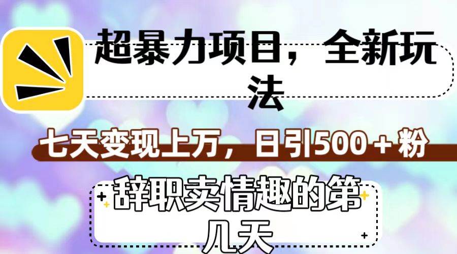 超暴利项目，全新玩法（辞职卖情趣的第几天），七天变现上万，日引500+粉-安哥网络创业副业