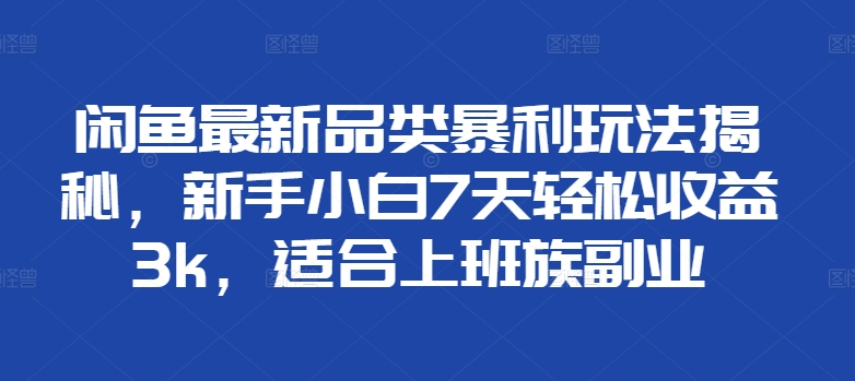闲鱼最新品类暴利玩法揭秘，新手小白7天轻松赚3000+，适合上班族副业-安哥网络创业副业