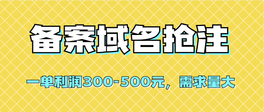 【全网首发】备案域名抢注，一单利润300-500元，需求量大-安哥网络创业副业