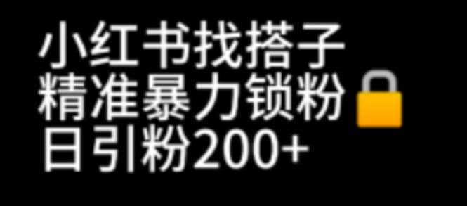 小红书找搭子暴力精准锁粉+引流日引200+精准粉-安哥网络创业副业