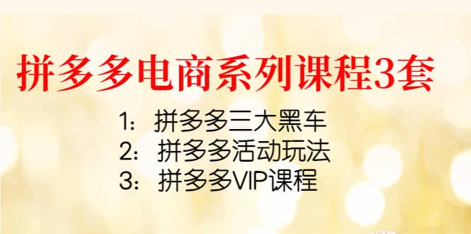 拼多多电商系列课程3套：拼多多三大黑车+拼多多活动玩法+拼多多VIP课程-安哥网络创业副业