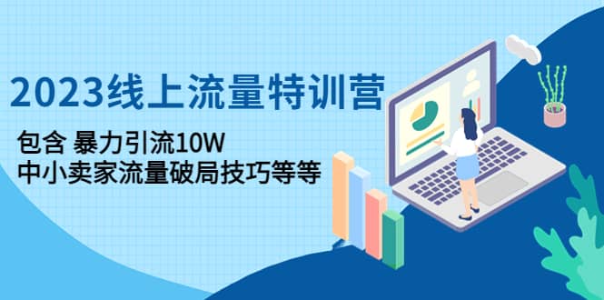 2023线上流量特训营：中小卖家流量破局技巧等等-安哥网络创业副业