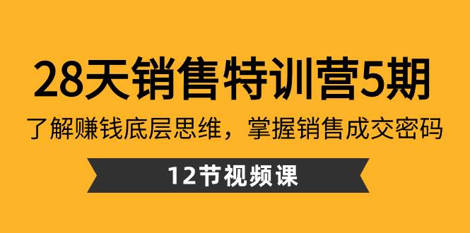 28天·销售特训营5期：了解赚钱底层思维，掌握销售成交密码（12节课）-安哥网络创业副业