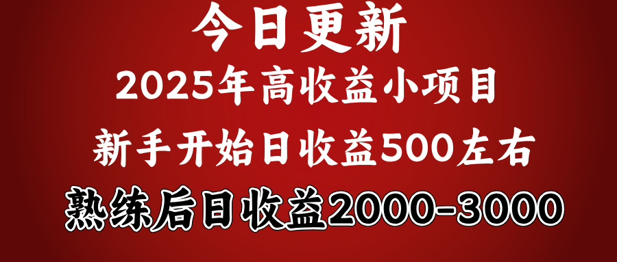 好项目一眼就能看出来，日收益1000，长久可做，2025拼的就是我比你勤奋-安哥网络创业副业