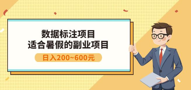 副业赚钱：人工智能数据标注项目，简单易上手，小白也能日入200+-安哥网络创业副业