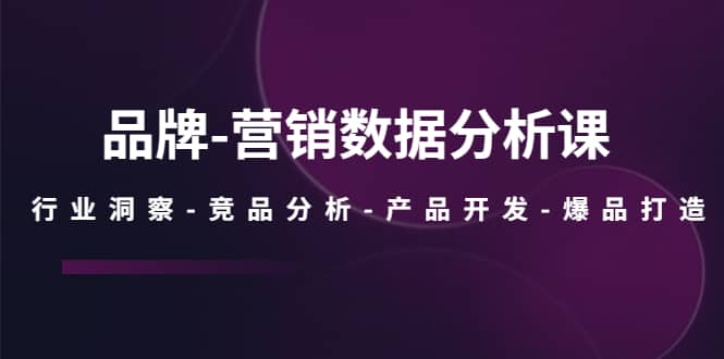 品牌-营销数据分析课，行业洞察-竞品分析-产品开发-爆品打造-安哥网络创业副业