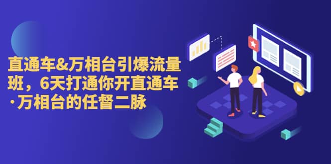 直通车+万相台引爆流量班，6天打通你开直通车·万相台的任督 二脉-安哥网络创业副业