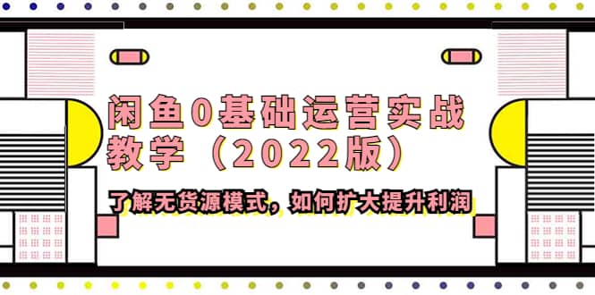 闲鱼0基础运营实战教学（2022版）了解无货源模式，如何扩大提升利润-安哥网络创业副业
