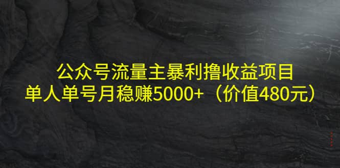 公众号流量主暴利撸收益项目，单人单号月稳赚5000+（价值480元）-安哥网络创业副业