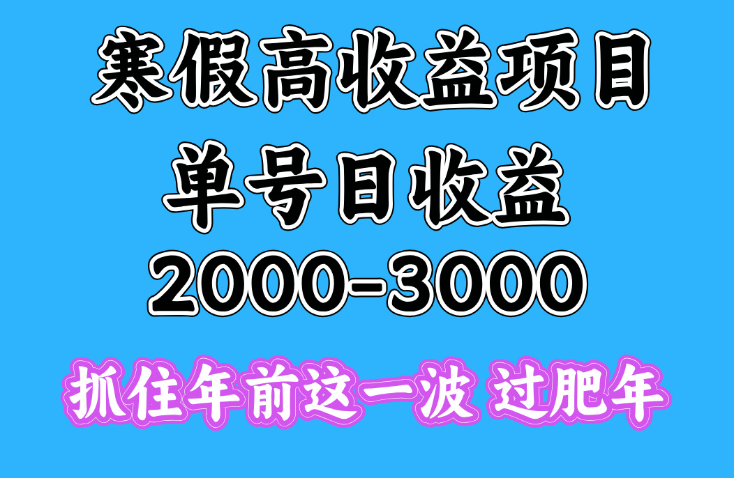 寒假期间一天收益2000-3000+，抓住年前这一波-安哥网络创业副业
