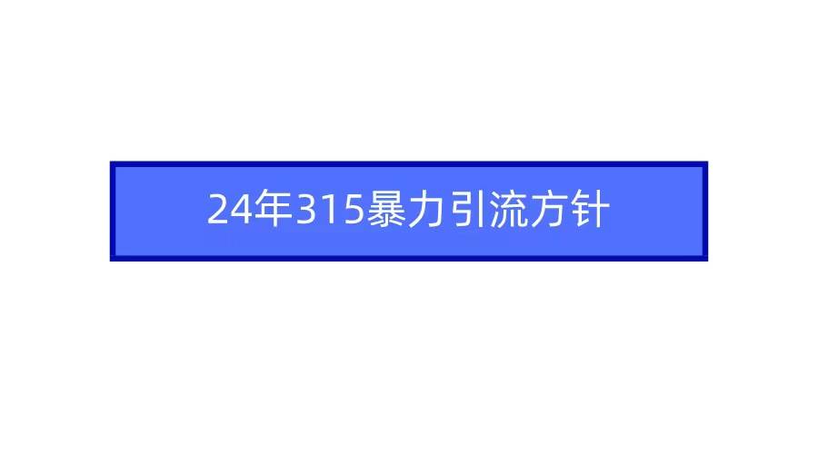2024年315暴力引流方针-安哥网络创业副业