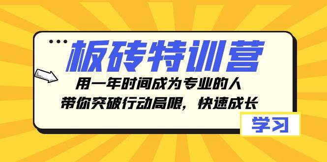 板砖特训营，用一年时间成为专业的人，带你突破行动局限，快速成长-安哥网络创业副业