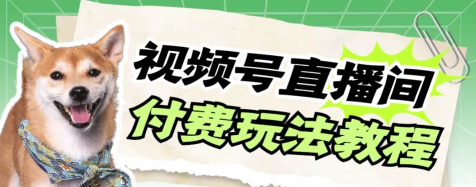 视频号美女付费无人直播，轻松日入500+【详细玩-安哥网络创业副业