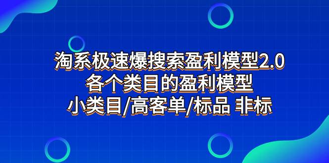 淘系极速爆搜索盈利模型2.0，各个类目的盈利模型，小类目/高客单/标品 非标-安哥网络创业副业