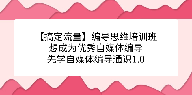 【搞定流量】编导思维培训班，想成为优秀自媒体编导先学自媒体编导通识1.0-安哥网络创业副业