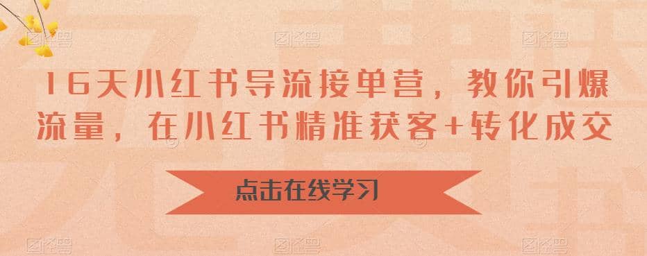 16天-小红书 导流接单营，教你引爆流量，在小红书精准获客+转化成交-安哥网络创业副业