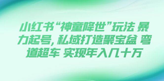 小红书“神童降世”玩法 暴力起号,私域打造聚宝盆 弯道超车 实现年入几十万-安哥网络创业副业