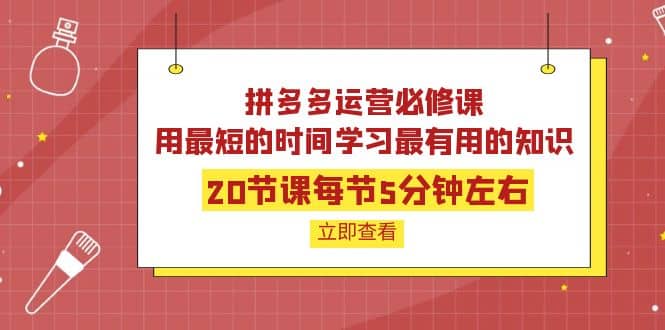 拼多多运营必修课：20节课每节5分钟左右，用最短的时间学习最有用的知识-安哥网络创业副业