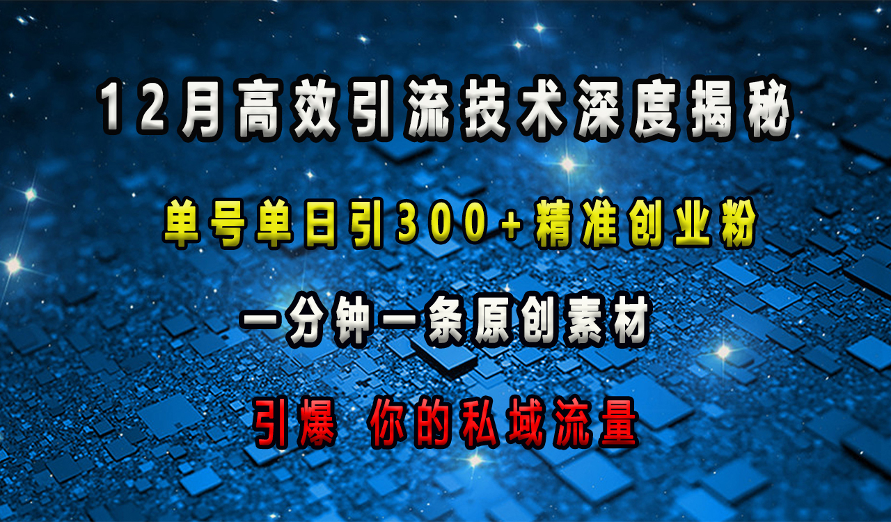 12月高效引流技术深度揭秘 ，单号单日引300+精准创业粉，一分钟一条原创素材，引爆你的私域流量-安哥网络创业副业