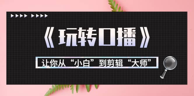月营业额700万+大佬教您《玩转口播》让你从“小白”到剪辑“大师”-安哥网络创业副业
