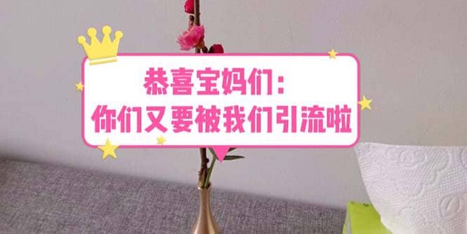 恭喜宝妈们：你们又要被我们引流了（教程+222g资料）-安哥网络创业副业