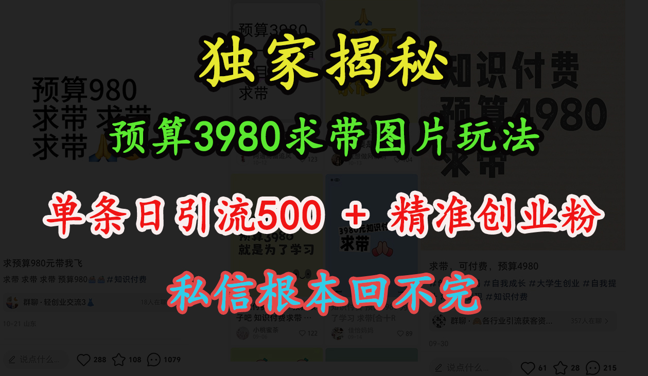 “小红书”预算3980求带 图片玩法，单条日引流500+精准创业粉，私信根本回不完-安哥网络创业副业