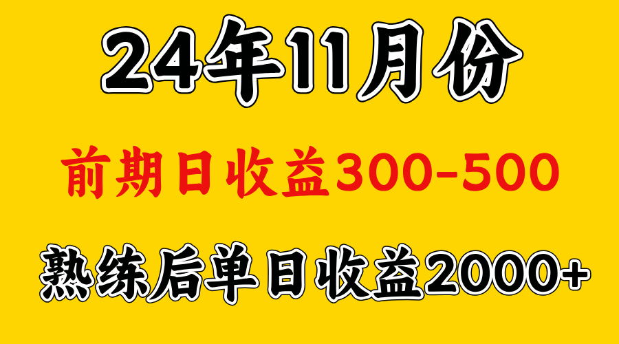 轻资产项目，前期日收益500左右，后期日收益1500-2000左右，多劳多得-安哥网络创业副业
