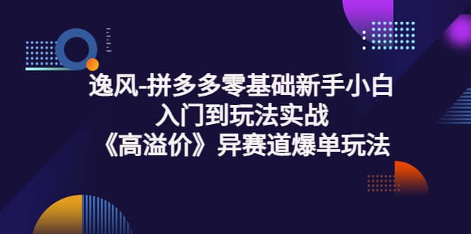 拼多多零基础新手小白入门到玩法实战《高溢价》异赛道爆单玩法实操课-安哥网络创业副业