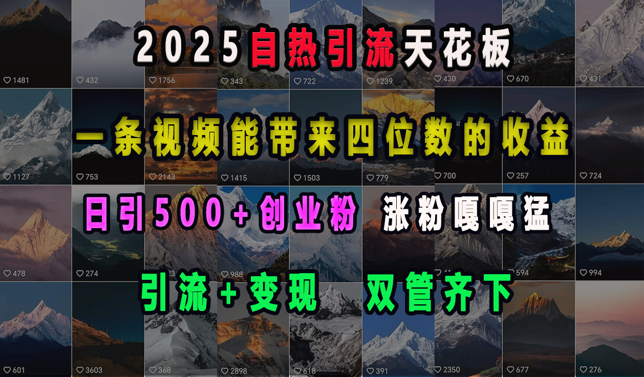 2025自热引流天花板，一条视频能带来四位数的收益，引流+变现双管齐下，日引500+创业粉，涨粉嘎嘎猛-安哥网络创业副业