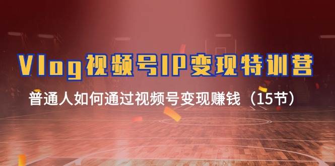 Vlog 视频号IP变现特训营，普通人如何通过视频号变现赚钱（15节）-安哥网络创业副业