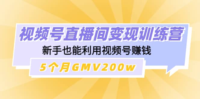 视频号直播间变现训练营-安哥网络创业副业