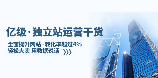 独立站运营干货：全面提升网站·转化率超过4%，轻松大卖 用数据说话-安哥网络创业副业