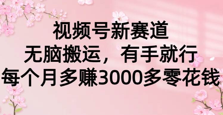 视频号新赛道，无脑搬运，有手就行，每个月多赚3000多零花钱-安哥网络创业副业