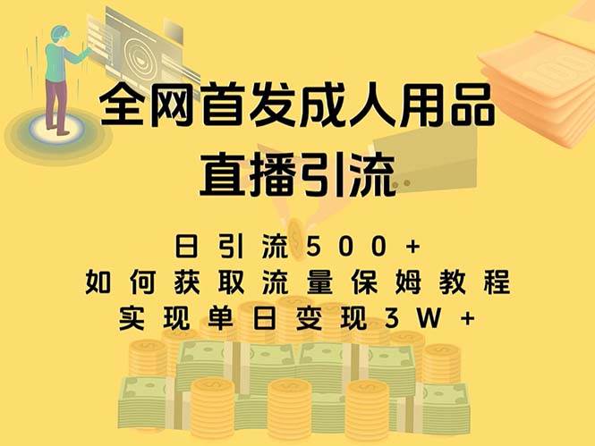 最新全网独创首发，成人用品直播引流获客暴力玩法，单日变现3w保姆级教程-安哥网络创业副业