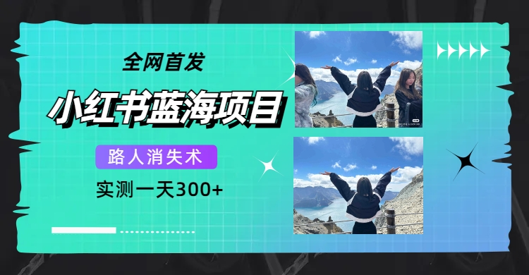 全网首发，小红书蓝海项目，路人消失术，实测一天300+（教程+工具）-安哥网络创业副业