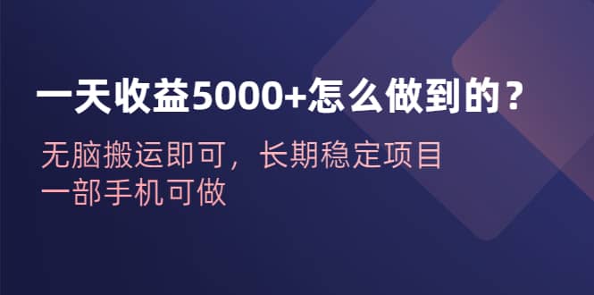 一天收益5000+怎么做到的？无脑搬运即可，长期稳定项目，一部手机可做-安哥网络创业副业