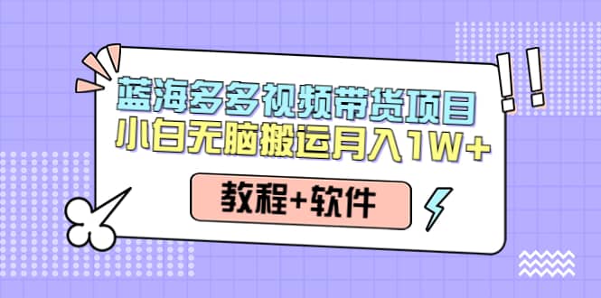 人人都能操作的蓝海多多视频带货项目 小白无脑搬运（教程+软件）-安哥网络创业副业