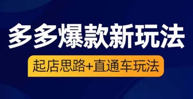 2023拼多多爆款·新玩法：起店思路+直通车玩法（3节精华课）-安哥网络创业副业