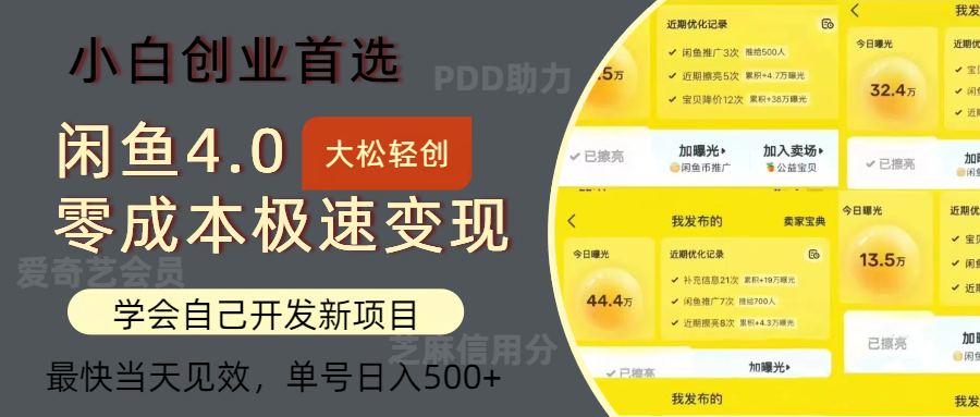闲鱼0成本极速变现项目，多种变现方式，单号日入500+最新玩法-安哥网络创业副业