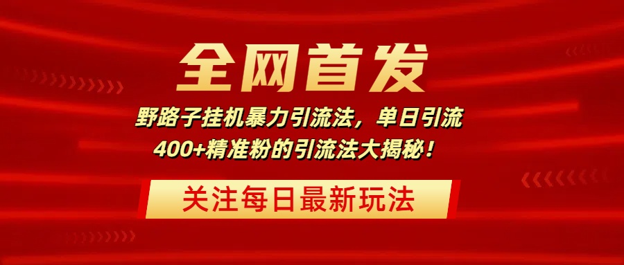 全网首发，野路子挂机暴力引流法，单日引流400+精准粉的引流法大揭秘！-安哥网络创业副业