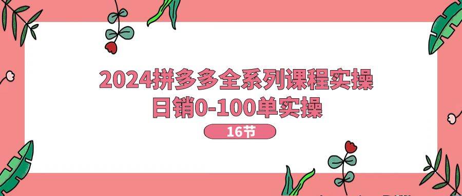 2024拼多多全系列课程实操，日销0-100单实操【16节课】-安哥网络创业副业
