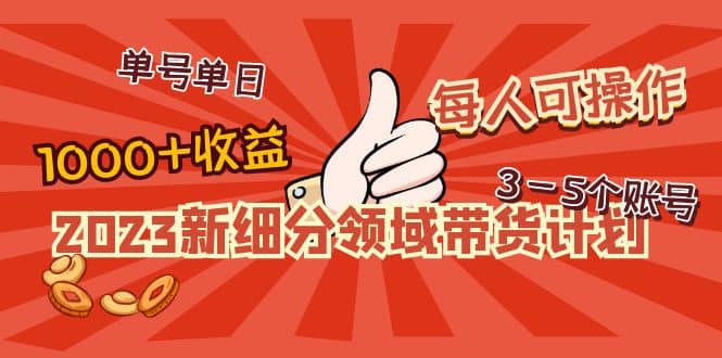 2023新细分领域带货计划：单号单日1000+收益不难，每人可操作3-5个账号-安哥网络创业副业