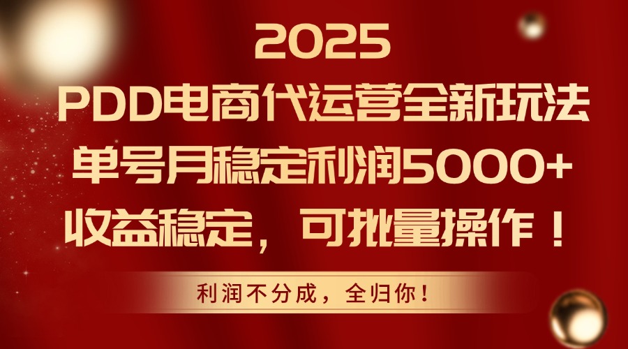 2025 PDD电商代运营全新玩法，单号月稳定利润5000+，收益稳定，可批量操作！-安哥网络创业副业