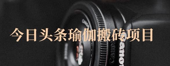 猎人社区·今日头条瑜伽搬砖项目，单号一天几十收入，可以批量操作！-安哥网络创业副业