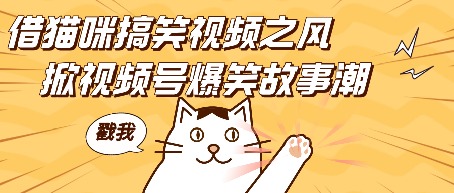 借猫咪搞笑视频之风，掀视频号爆笑故事潮，轻松日赚四位数，开启无门槛赚钱新体验！-安哥网络创业副业