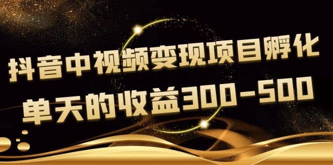 黄岛主《抖音中视频变现项目孵化》单天的收益300-500 操作简单粗暴-安哥网络创业副业