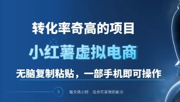 一单49.9，转化率奇高的项目，冷门暴利的小红书虚拟电商-安哥网络创业副业