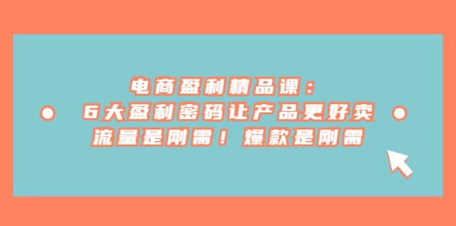 电商 盈利精品课：6大盈利 密码让产品更好卖，流量是刚需！爆款是刚需-安哥网络创业副业