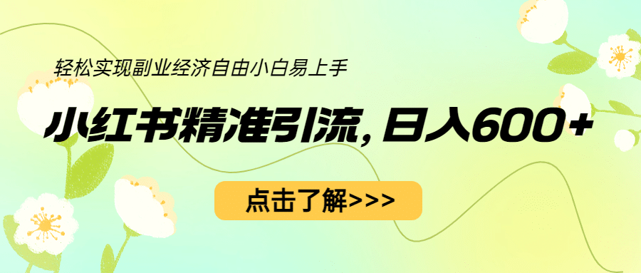 小红书精准引流，小白日入600+，轻松实现副业经济自由（教程+1153G资源）-安哥网络创业副业